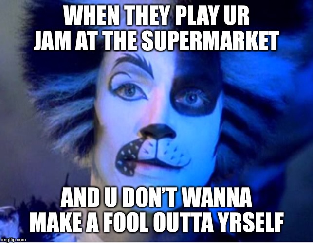 Alonzo at a supermarket | WHEN THEY PLAY UR JAM AT THE SUPERMARKET; AND U DON’T WANNA MAKE A FOOL OUTTA YRSELF | image tagged in cats,musicals,funny | made w/ Imgflip meme maker