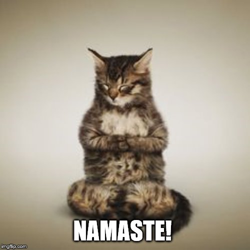 Cat Namaste | NAMASTE! | image tagged in cat namaste | made w/ Imgflip meme maker