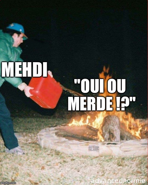 pouring gas on fire | MEHDI; "OUI OU MERDE !?" | image tagged in pouring gas on fire | made w/ Imgflip meme maker