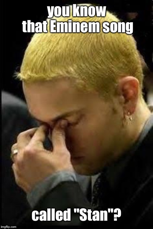 Eminem Face Palm | you know that Eminem song called "Stan"? | image tagged in eminem face palm | made w/ Imgflip meme maker