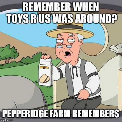 Pepperidge Farm Remembers Meme | REMEMBER WHEN TOYS R US WAS AROUND? PEPPERIDGE FARM REMEMBERS | image tagged in memes,pepperidge farm remembers,toys r us | made w/ Imgflip meme maker