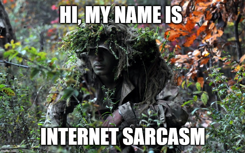 camouflage | HI, MY NAME IS INTERNET SARCASM | image tagged in camouflage | made w/ Imgflip meme maker