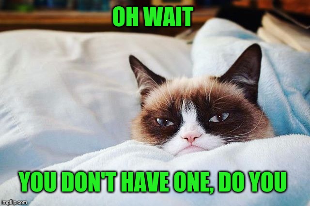 grumpy cat bed | OH WAIT YOU DON'T HAVE ONE, DO YOU | image tagged in grumpy cat bed | made w/ Imgflip meme maker