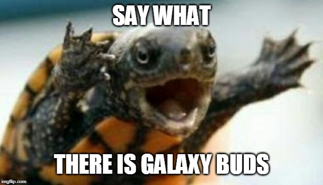Turtle Say What? | SAY WHAT; THERE IS GALAXY BUDS | image tagged in turtle say what | made w/ Imgflip meme maker