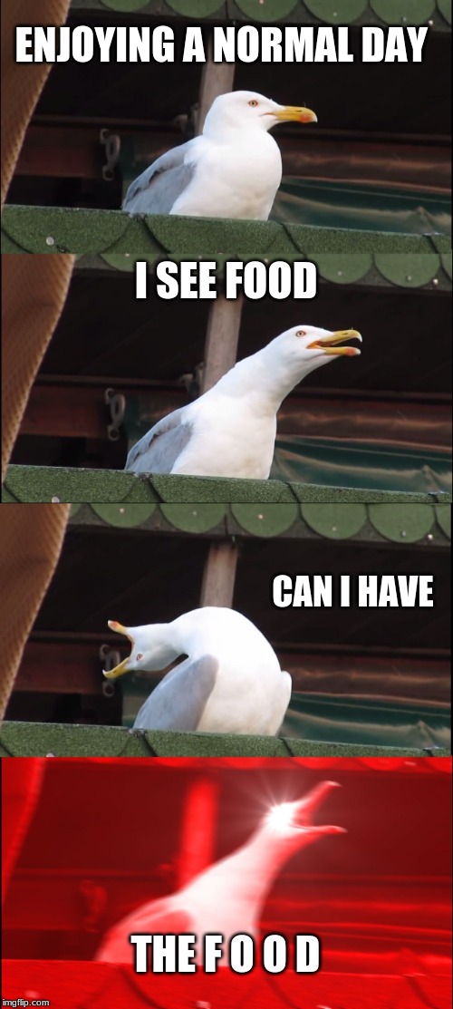 food | ENJOYING A NORMAL DAY; I SEE FOOD; CAN I HAVE; THE F O O D | image tagged in memes,inhaling seagull | made w/ Imgflip meme maker