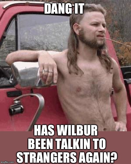 almost redneck | DANG IT HAS WILBUR BEEN TALKIN TO STRANGERS AGAIN? | image tagged in almost redneck | made w/ Imgflip meme maker