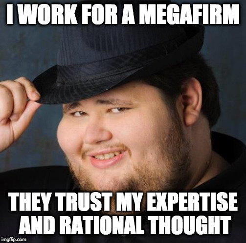 Fedora-guy | I WORK FOR A MEGAFIRM; THEY TRUST MY EXPERTISE AND RATIONAL THOUGHT | image tagged in fedora-guy | made w/ Imgflip meme maker