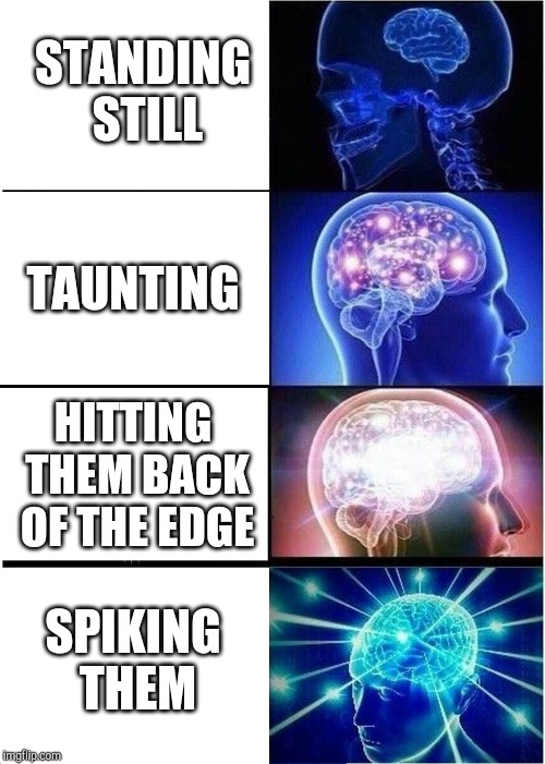 Expanding Brain Meme | STANDING STILL; TAUNTING; HITTING THEM BACK OF THE EDGE; SPIKING THEM | image tagged in memes,expanding brain | made w/ Imgflip meme maker