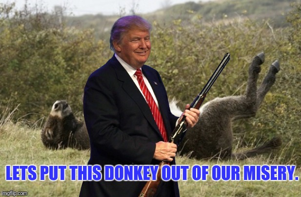 Lame Donkey | LETS PUT THIS DONKEY OUT OF OUR MISERY. | image tagged in maga,donald trump,hunting,donkey,politics lol | made w/ Imgflip meme maker