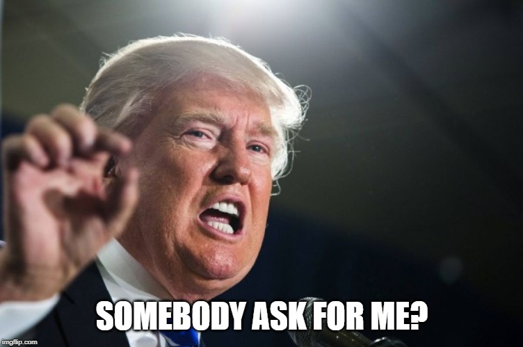 donald trump | SOMEBODY ASK FOR ME? | image tagged in donald trump | made w/ Imgflip meme maker