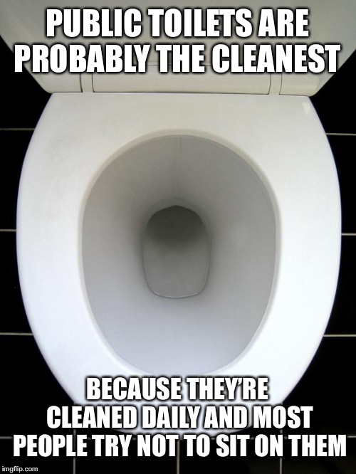 Probably not as bad as you think. | PUBLIC TOILETS ARE PROBABLY THE CLEANEST; BECAUSE THEY’RE CLEANED DAILY AND MOST PEOPLE TRY NOT TO SIT ON THEM | image tagged in toilet,crappy memes,toilet seat | made w/ Imgflip meme maker
