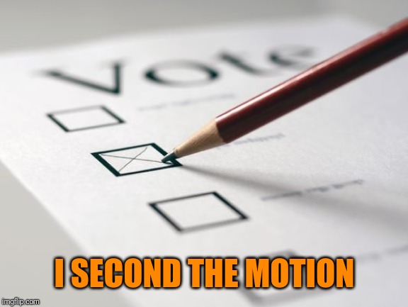 Voting Ballot | I SECOND THE MOTION | image tagged in voting ballot | made w/ Imgflip meme maker