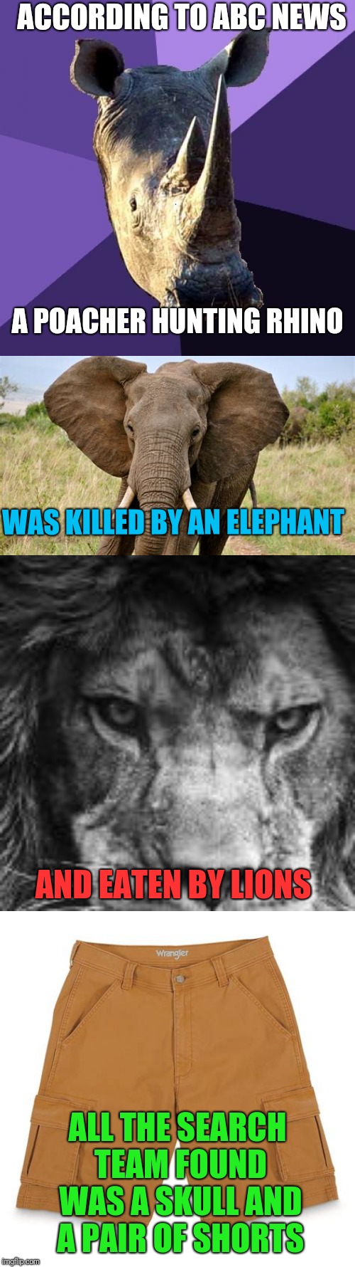 Neighborhood Watch? | ACCORDING TO ABC NEWS; A POACHER HUNTING RHINO; WAS KILLED BY AN ELEPHANT; AND EATEN BY LIONS; ALL THE SEARCH TEAM FOUND WAS A SKULL AND A PAIR OF SHORTS | image tagged in memes,sexually oblivious rhino | made w/ Imgflip meme maker