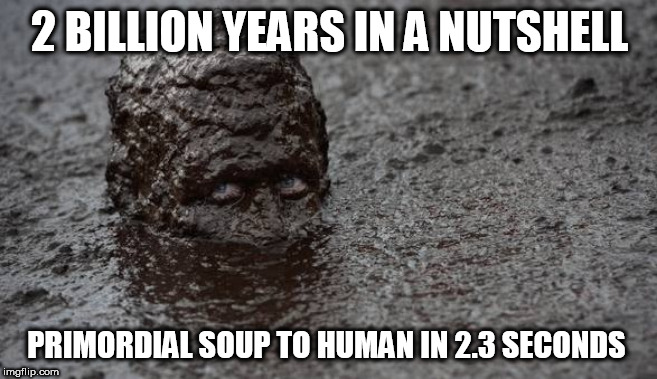 Mud | 2 BILLION YEARS IN A NUTSHELL; PRIMORDIAL SOUP TO HUMAN IN 2.3 SECONDS | image tagged in mud | made w/ Imgflip meme maker