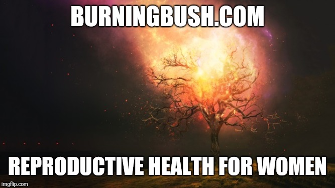 Bad Website Names | BURNINGBUSH.COM; REPRODUCTIVE HEALTH FOR WOMEN | image tagged in bad website | made w/ Imgflip meme maker