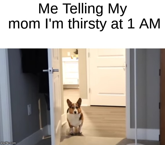 How everyone was like at night | Me Telling My mom I'm thirsty at 1 AM | image tagged in relatable,corgi | made w/ Imgflip meme maker