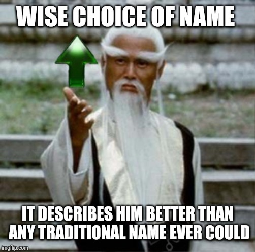 WISE CHOICE OF NAME IT DESCRIBES HIM BETTER THAN ANY TRADITIONAL NAME EVER COULD | made w/ Imgflip meme maker