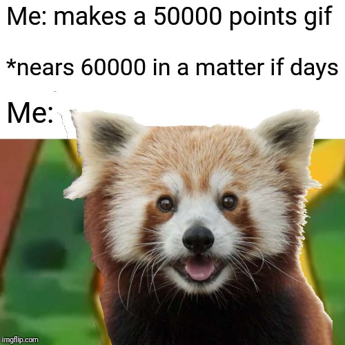 Thanks for 60k! | Me: makes a 50000 points gif; *nears 60000 in a matter if days; Me: | image tagged in memes,surprised pikachu,suprised red panda,60k,red_panda_memes | made w/ Imgflip meme maker