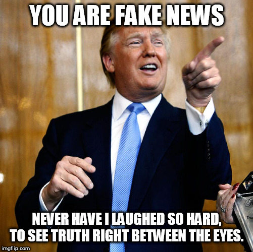 Donal Trump Birthday | YOU ARE FAKE NEWS; NEVER HAVE I LAUGHED SO HARD, TO SEE TRUTH RIGHT BETWEEN THE EYES. | image tagged in donal trump birthday | made w/ Imgflip meme maker