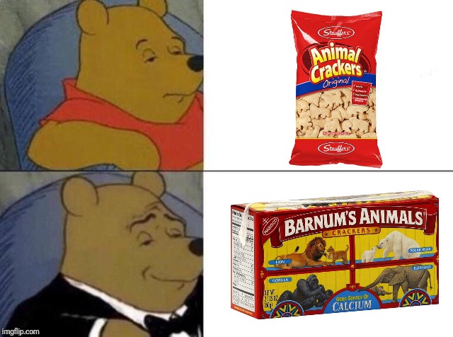 Tuxedo Winnie The Pooh Meme | image tagged in tuxedo winnie the pooh | made w/ Imgflip meme maker
