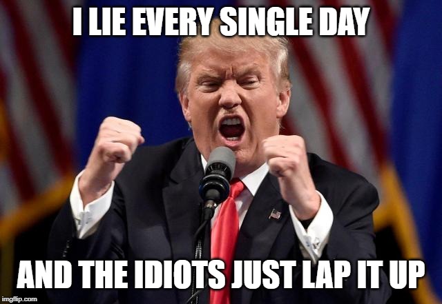 Trumo | I LIE EVERY SINGLE DAY AND THE IDIOTS JUST LAP IT UP | image tagged in trumo | made w/ Imgflip meme maker