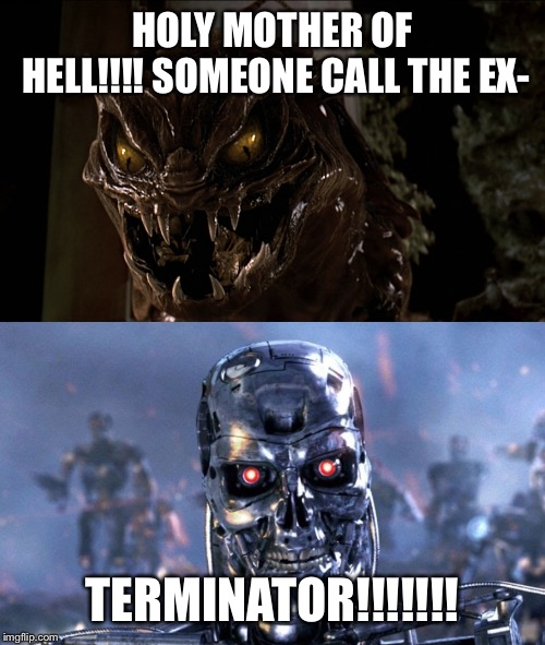 HOLY MOTHER OF HELL!!!!
SOMEONE CALL THE EX-; TERMINATOR!!!!!!! | image tagged in memes | made w/ Imgflip meme maker