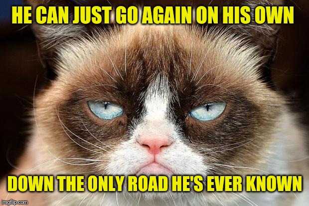 Grumpy Cat Not Amused Meme | HE CAN JUST GO AGAIN ON HIS OWN DOWN THE ONLY ROAD HE'S EVER KNOWN | image tagged in memes,grumpy cat not amused,grumpy cat | made w/ Imgflip meme maker