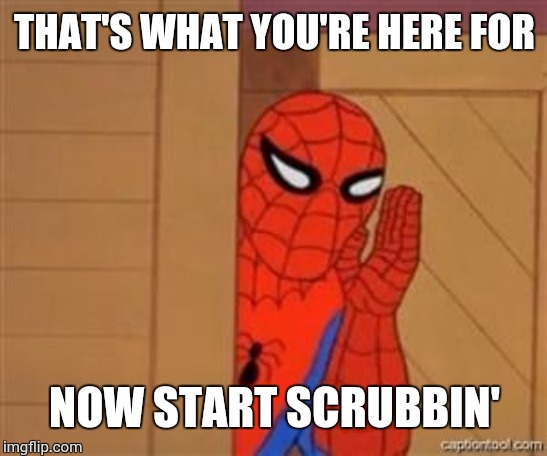 psst spiderman | THAT'S WHAT YOU'RE HERE FOR NOW START SCRUBBIN' | image tagged in psst spiderman | made w/ Imgflip meme maker