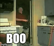 BOO | image tagged in gifs | made w/ Imgflip video-to-gif maker