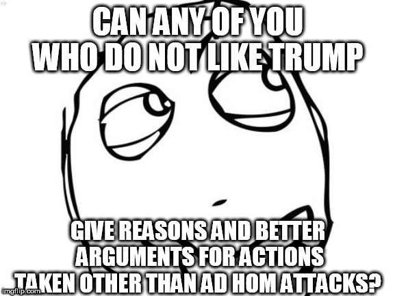 Question Rage Face | CAN ANY OF YOU WHO DO NOT LIKE TRUMP; GIVE REASONS AND BETTER ARGUMENTS FOR ACTIONS TAKEN OTHER THAN AD HOM ATTACKS? | image tagged in memes,question rage face | made w/ Imgflip meme maker