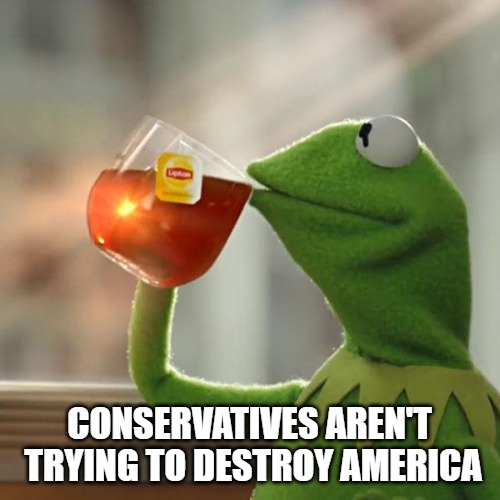 But That's None Of My Business Meme | CONSERVATIVES AREN'T TRYING TO DESTROY AMERICA | image tagged in memes,but thats none of my business,kermit the frog | made w/ Imgflip meme maker