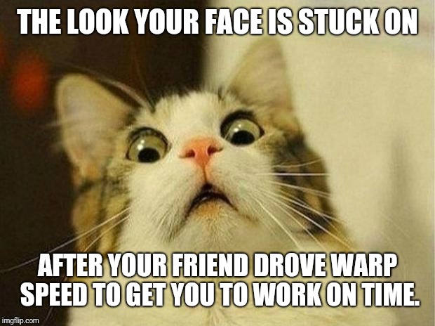 Scared Cat Meme | THE LOOK YOUR FACE IS STUCK ON; AFTER YOUR FRIEND DROVE WARP SPEED TO GET YOU TO WORK ON TIME. | image tagged in memes,scared cat | made w/ Imgflip meme maker