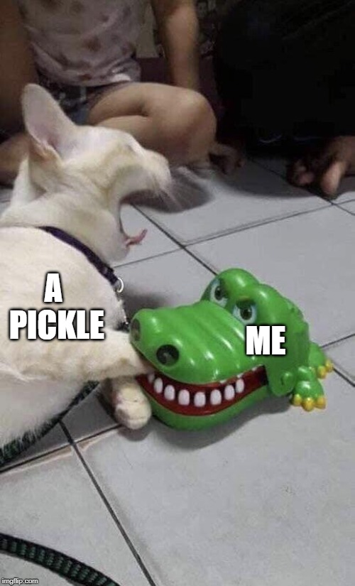 Cat and Alligator | A PICKLE; ME | image tagged in cat and alligator | made w/ Imgflip meme maker