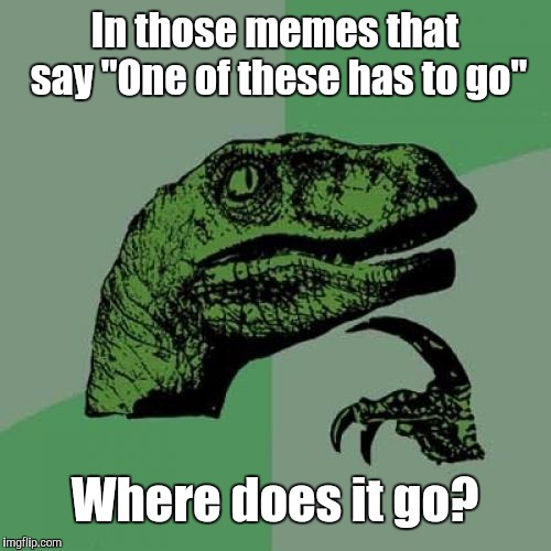 Philosoraptor | In those memes that say "One of these has to go"; Where does it go? | image tagged in memes,philosoraptor | made w/ Imgflip meme maker