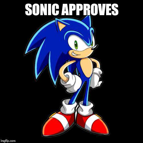 You're Too Slow Sonic Meme | SONIC APPROVES | image tagged in memes,youre too slow sonic | made w/ Imgflip meme maker