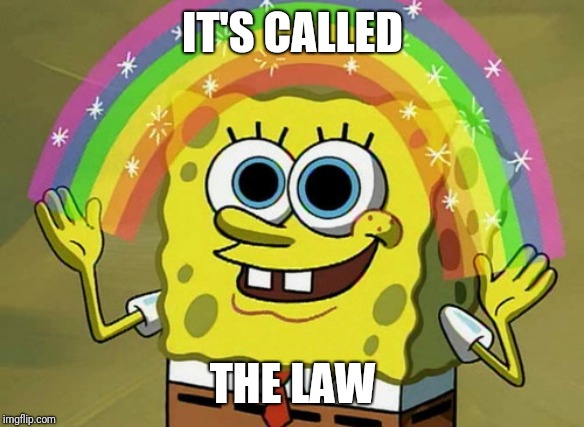 Imagination Spongebob Meme | IT'S CALLED THE LAW | image tagged in memes,imagination spongebob | made w/ Imgflip meme maker