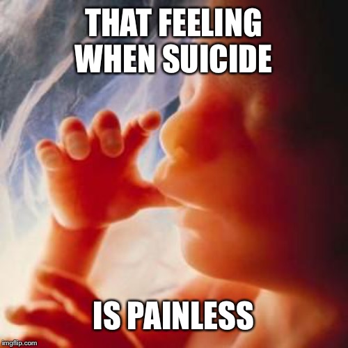 Fetus | THAT FEELING WHEN SUICIDE; IS PAINLESS | image tagged in fetus | made w/ Imgflip meme maker