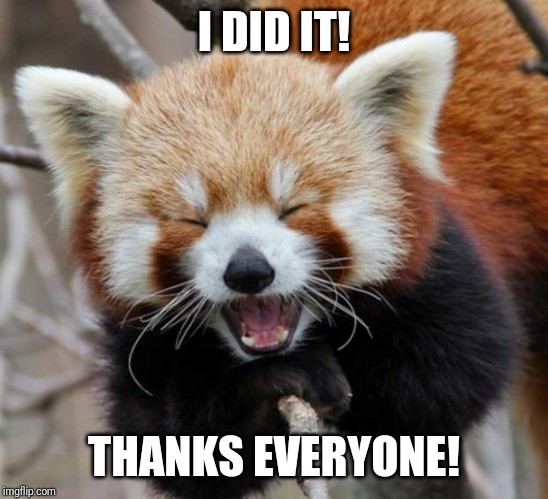 Red Panda | I DID IT! THANKS EVERYONE! | image tagged in red panda | made w/ Imgflip meme maker