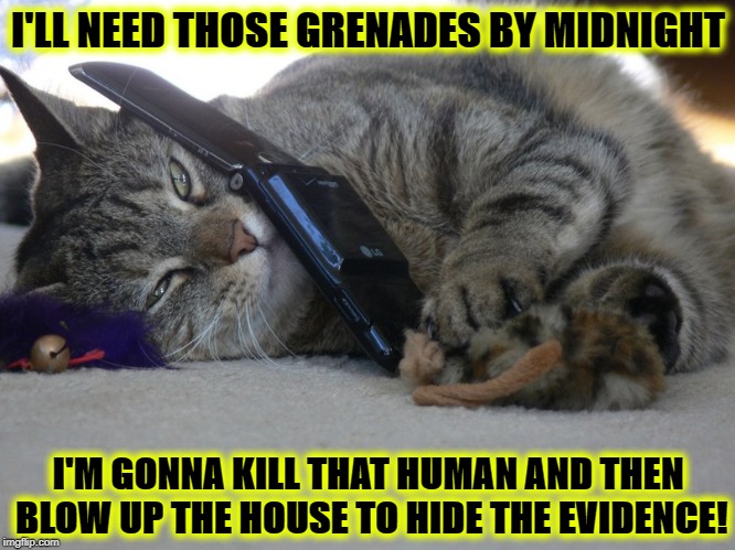 I'LL NEED THOSE GRENADES BY MIDNIGHT; I'M GONNA KILL THAT HUMAN AND THEN BLOW UP THE HOUSE TO HIDE THE EVIDENCE! | image tagged in murder plot | made w/ Imgflip meme maker