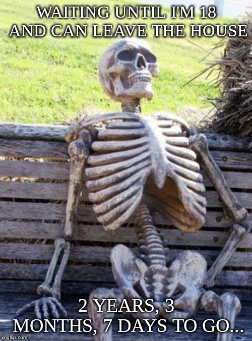 2 years, 3 months, 7 days to go | WAITING UNTIL I'M 18 AND CAN LEAVE THE HOUSE; 2 YEARS, 3 MONTHS, 7 DAYS TO GO... | image tagged in memes,waiting skeleton,funny,18,still waiting | made w/ Imgflip meme maker
