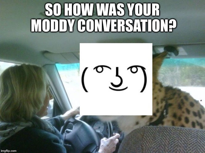 so how was school cheetah | SO HOW WAS YOUR MODDY CONVERSATION? | image tagged in so how was school cheetah | made w/ Imgflip meme maker