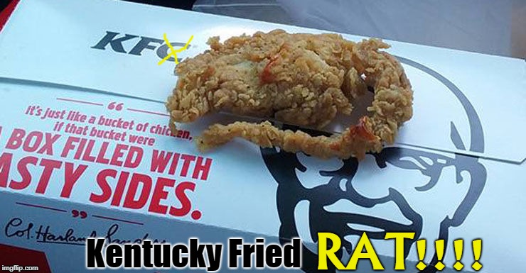 Kentucky Fried; RAT!!!! | image tagged in kfc | made w/ Imgflip meme maker