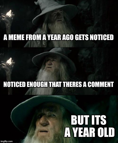 Confused Gandalf Meme | A MEME FROM A YEAR AGO GETS NOTICED NOTICED ENOUGH THAT THERES A COMMENT BUT ITS A YEAR OLD | image tagged in memes,confused gandalf | made w/ Imgflip meme maker