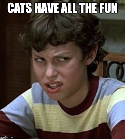 Freaks and geeks | CATS HAVE ALL THE FUN | image tagged in freaks and geeks | made w/ Imgflip meme maker