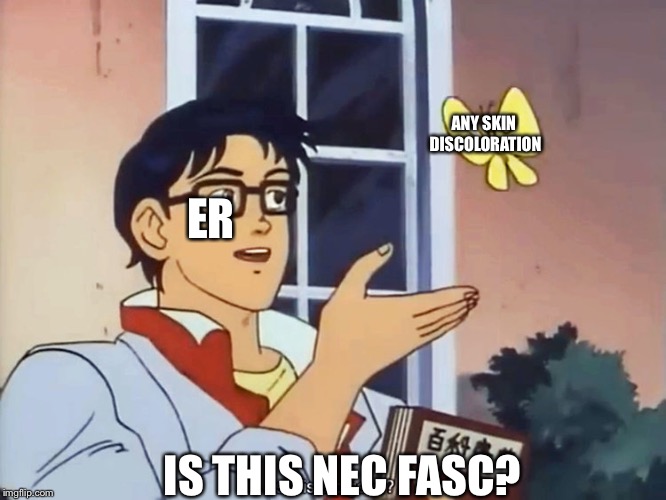 ANIME BUTTERFLY MEME | ANY SKIN DISCOLORATION; ER; IS THIS NEC FASC? | image tagged in anime butterfly meme | made w/ Imgflip meme maker