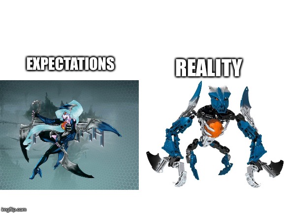 EXPECTATIONS; REALITY | image tagged in bionicle | made w/ Imgflip meme maker
