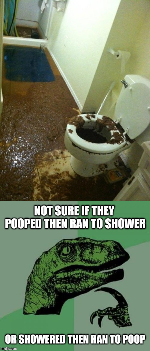 NOT SURE IF THEY POOPED THEN RAN TO SHOWER OR SHOWERED THEN RAN TO POOP | image tagged in memes,philosoraptor,poop | made w/ Imgflip meme maker