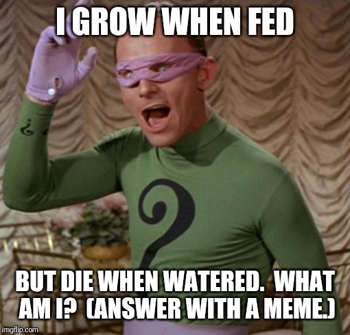 Riddler | I GROW WHEN FED; BUT DIE WHEN WATERED.  WHAT AM I?  (ANSWER WITH A MEME.) | image tagged in riddler | made w/ Imgflip meme maker