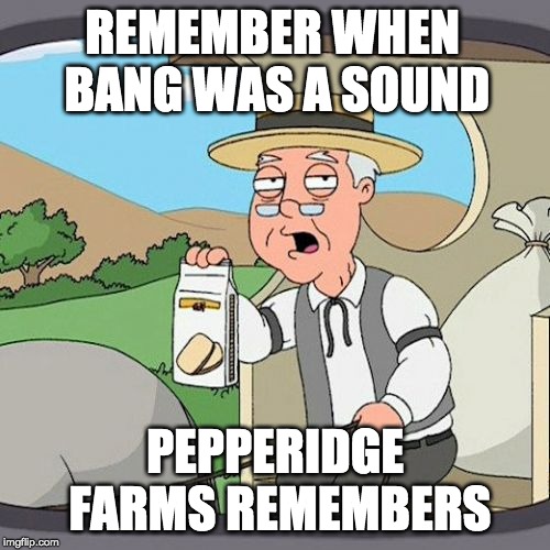 Pepperidge Farm Remembers Meme | REMEMBER WHEN BANG WAS A SOUND; PEPPERIDGE FARMS REMEMBERS | image tagged in memes,pepperidge farm remembers | made w/ Imgflip meme maker