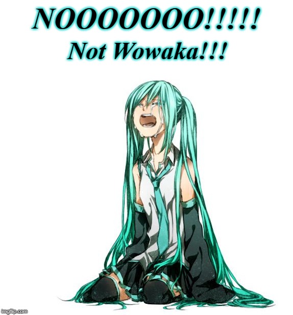 Miku Cries Over The Loss Of Wowaka | NOOOOOOO!!!!! Not Wowaka!!! | image tagged in sad,hatsune miku,anime,vocaloid,crying,loss | made w/ Imgflip meme maker